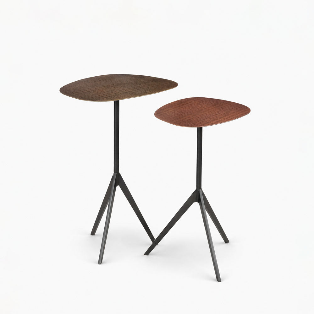 Ash Iron Side Table | Set of 2 | Gold