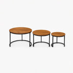 Sylvia Mango Wood Coffee Table | Honey