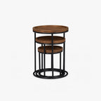 Milo Mango Wood Side Table | Set of 3 | Brown