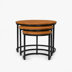 Sylvia Mango Wood Coffee Table | Honey