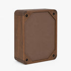 Lux Mango Wood Cabinet | Brown