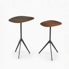 Ash Iron Side Table | Set of 2 | Gold
