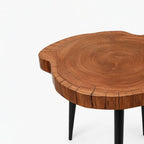 Mason Acacia Wood Side Table | Large | Dark Wood