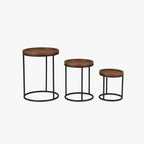 Milo Mango Wood Side Table | Set of 3 | Brown