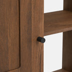Lux Mango Wood Cabinet | Brown
