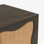 Marco Mango Wood Cabinet | Walnut